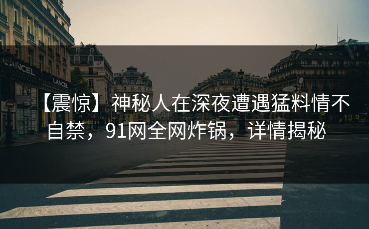 【震惊】神秘人在深夜遭遇猛料情不自禁，91网全网炸锅，详情揭秘