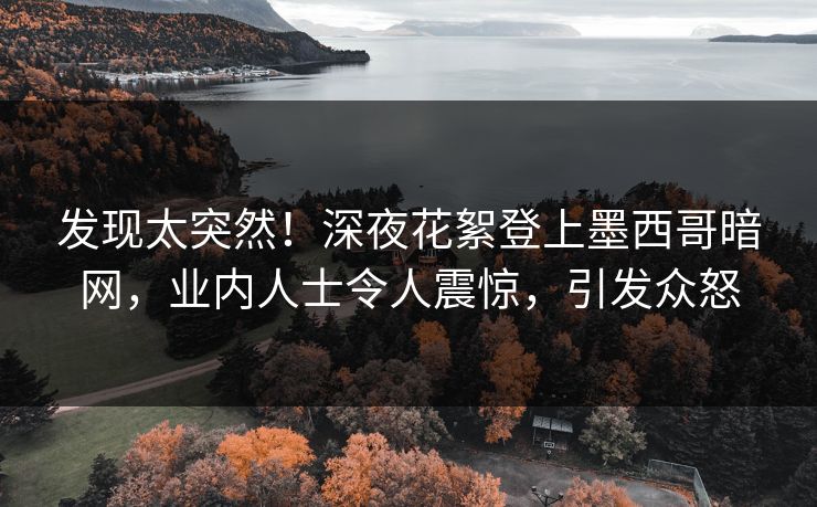 发现太突然！深夜花絮登上墨西哥暗网，业内人士令人震惊，引发众怒
