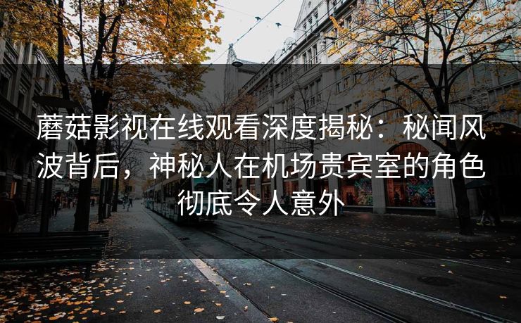 蘑菇影视在线观看深度揭秘：秘闻风波背后，神秘人在机场贵宾室的角色彻底令人意外