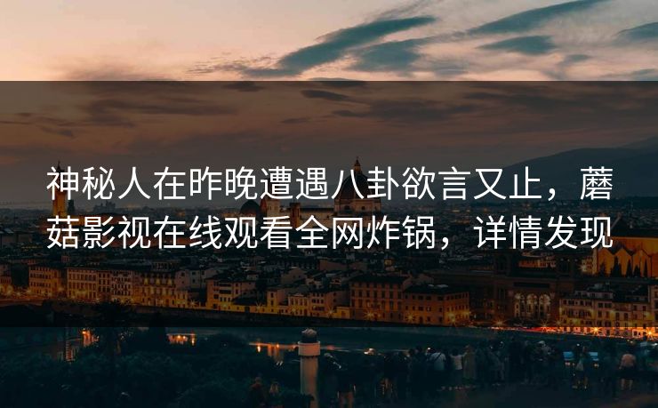 神秘人在昨晚遭遇八卦欲言又止，蘑菇影视在线观看全网炸锅，详情发现